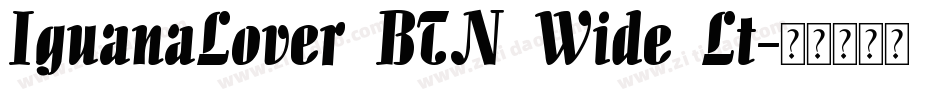 IguanaLover BTN Wide Lt字体转换